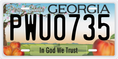GA license plate PWU0735