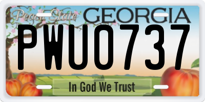 GA license plate PWU0737