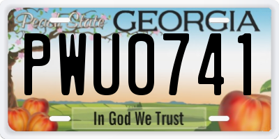 GA license plate PWU0741