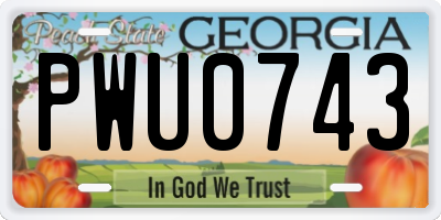 GA license plate PWU0743
