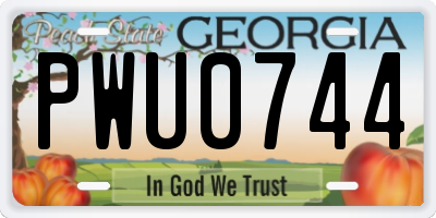 GA license plate PWU0744