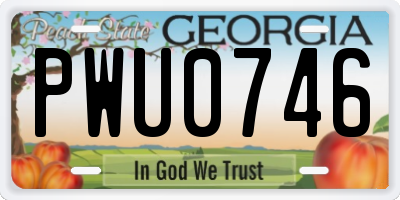 GA license plate PWU0746