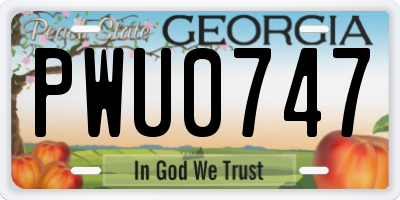 GA license plate PWU0747