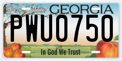 GA license plate PWU0750