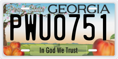 GA license plate PWU0751