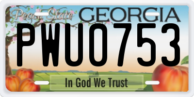 GA license plate PWU0753