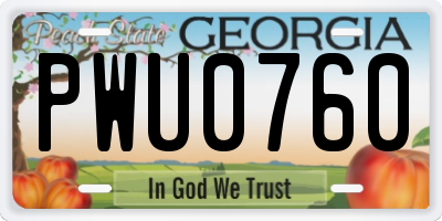 GA license plate PWU0760