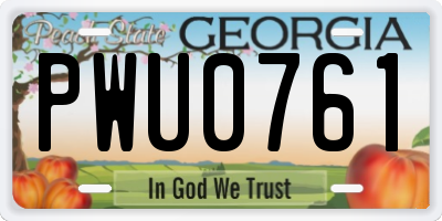 GA license plate PWU0761