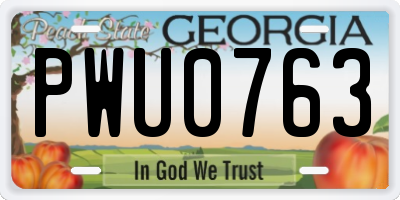 GA license plate PWU0763