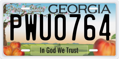GA license plate PWU0764