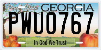 GA license plate PWU0767