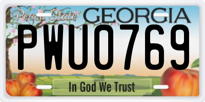 GA license plate PWU0769