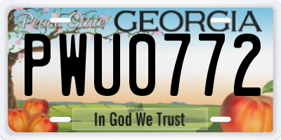 GA license plate PWU0772