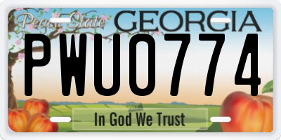 GA license plate PWU0774