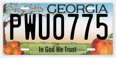 GA license plate PWU0775
