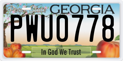 GA license plate PWU0778
