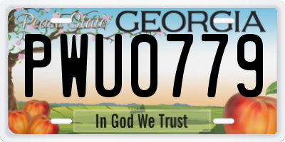 GA license plate PWU0779