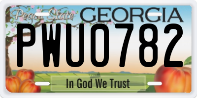 GA license plate PWU0782