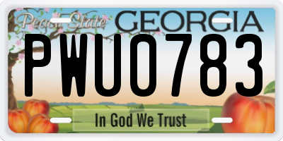 GA license plate PWU0783