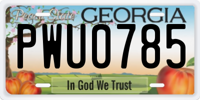 GA license plate PWU0785