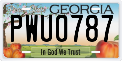 GA license plate PWU0787