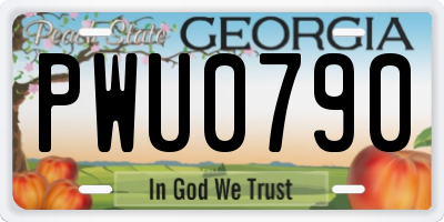 GA license plate PWU0790