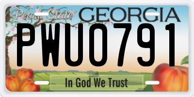 GA license plate PWU0791