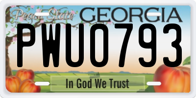 GA license plate PWU0793