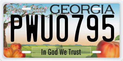 GA license plate PWU0795