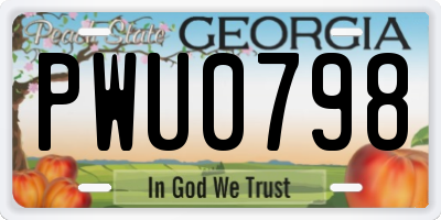GA license plate PWU0798