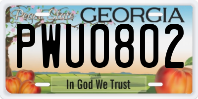 GA license plate PWU0802