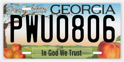 GA license plate PWU0806