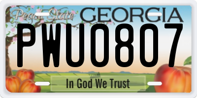 GA license plate PWU0807