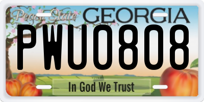 GA license plate PWU0808