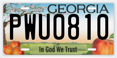 GA license plate PWU0810