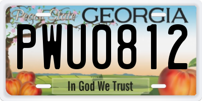 GA license plate PWU0812