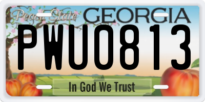 GA license plate PWU0813