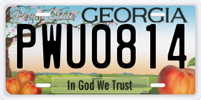 GA license plate PWU0814