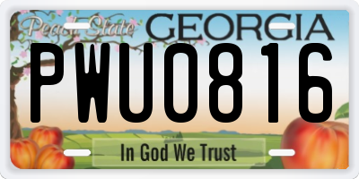 GA license plate PWU0816