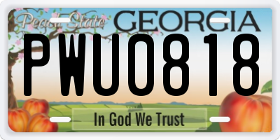 GA license plate PWU0818