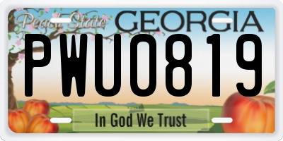 GA license plate PWU0819