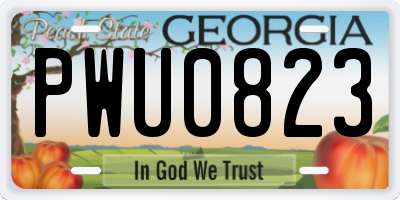 GA license plate PWU0823