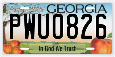 GA license plate PWU0826