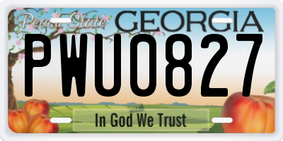 GA license plate PWU0827