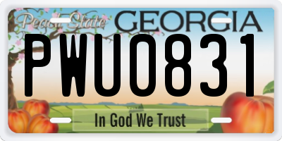 GA license plate PWU0831