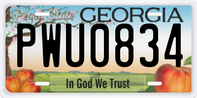 GA license plate PWU0834