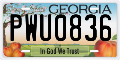 GA license plate PWU0836