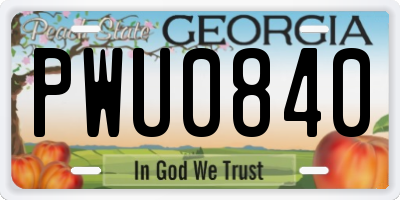 GA license plate PWU0840
