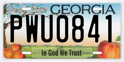 GA license plate PWU0841