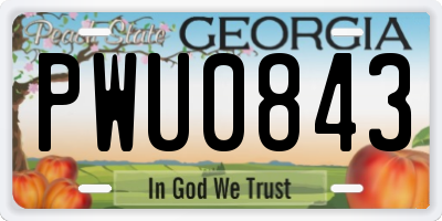 GA license plate PWU0843